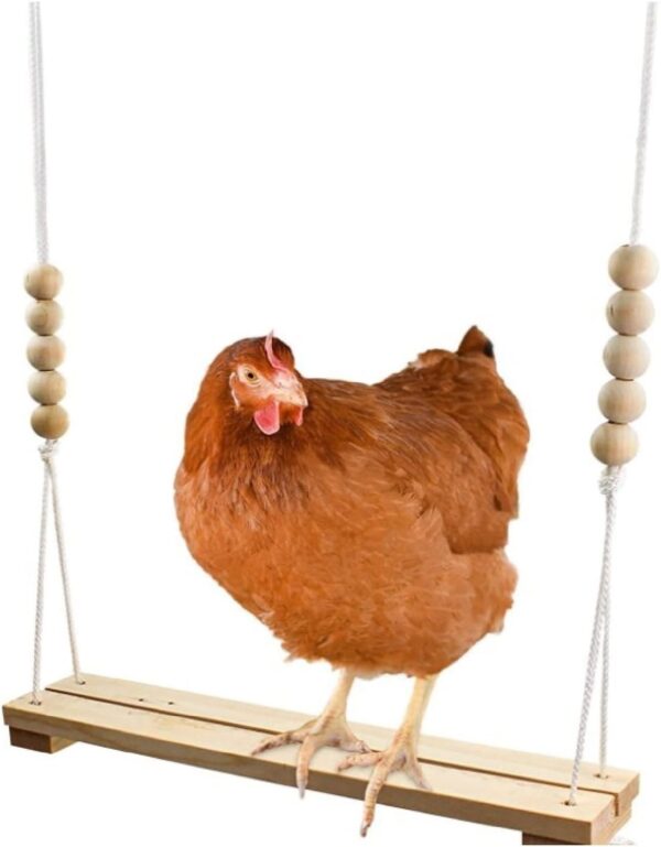 AOVNA Chicken Swing Wooden Hanging Swing Durable Chicken Swing Perch Hanging Toy for Chicken Bird