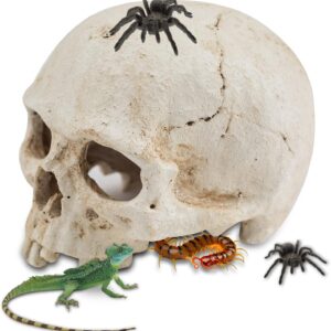 Aufeeky Halloween Human Skull Reptile Hide, White Reptile Hides and Caves for Ball Python Leopard Gecko Snake Bearded Dragon Lizard Fish Chameleon, Aquarium Cave for Tank Terrarium