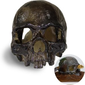 Authentic JOY Skull Reptile Hide (Black)