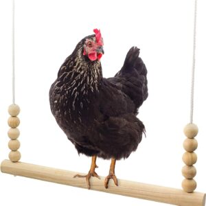 Backyard Barnyard Chicken Swing Toy for Coop (Round Bar) Handmade in USA! Natural Safe Large Wood Perch Ladder for Poultry Run Rooster Hens Chicks Pet Parrots Pollo Stress Relief for Birds