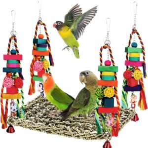 Bird Toys Parakeet Toys Conure Toys Bird Foraging Wall Toy,Seagrass Woven Hammock Swing Mat for Climb Perch Swing with Colorful Wooden Chewing Toys for Lovebirds,Parakeets,Conure,Cockatiel (Large)