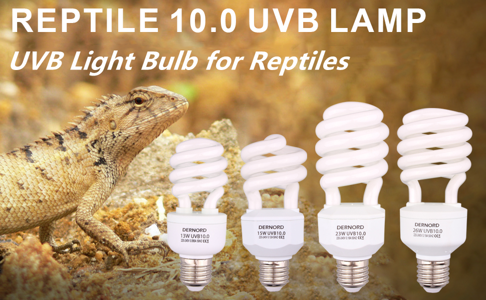 reptile uvb bulb