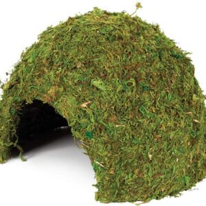 Komodo Large Natural Moss Cave for Reptiles - L