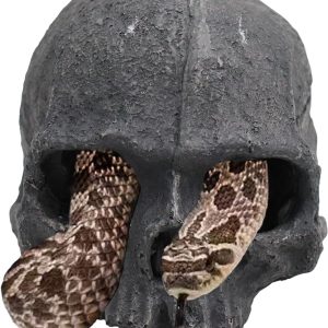 Oooct Resin Skull Sculpture, Black, Reptile Hideout for Fish, Bearded Dragon, Ball Python, Leopard Gecko, 4.7 x 3.5 x 3.7 Inch