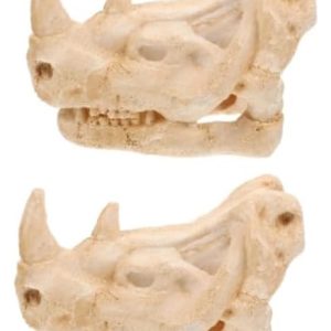 Toddmomy 4pcs Reptile Skull Lanscape Decor Ornament Tortoise Hiding Place Hideout Cave Reptisoil Fish Hide Skull Cave Hallowen Snakes Habitat Reptile Hiding Place Aquarium Cave Resin