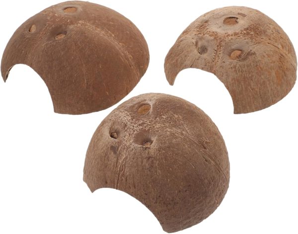 Yardwe 12 Pcs Reptiles Hide from Caves Reptile Hides and Caves Small Reptile Cave Gecko Hideout Cave Wear-resistant Reptile Cave Terrarium Supply Hides for Reptiles Coconut Shell