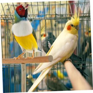 Yardwe 5pcs Parrot t Stand Hammock Holder Bird Cage Stand Household Paw Grinding Branch Parrot Playstand Swing Accessories Bird Branches Toy T-shaped Bird Stick Striped Bass Animal Wood